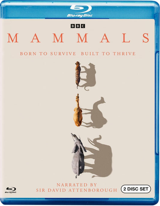 MAMMALS (2024 MINISERIES)