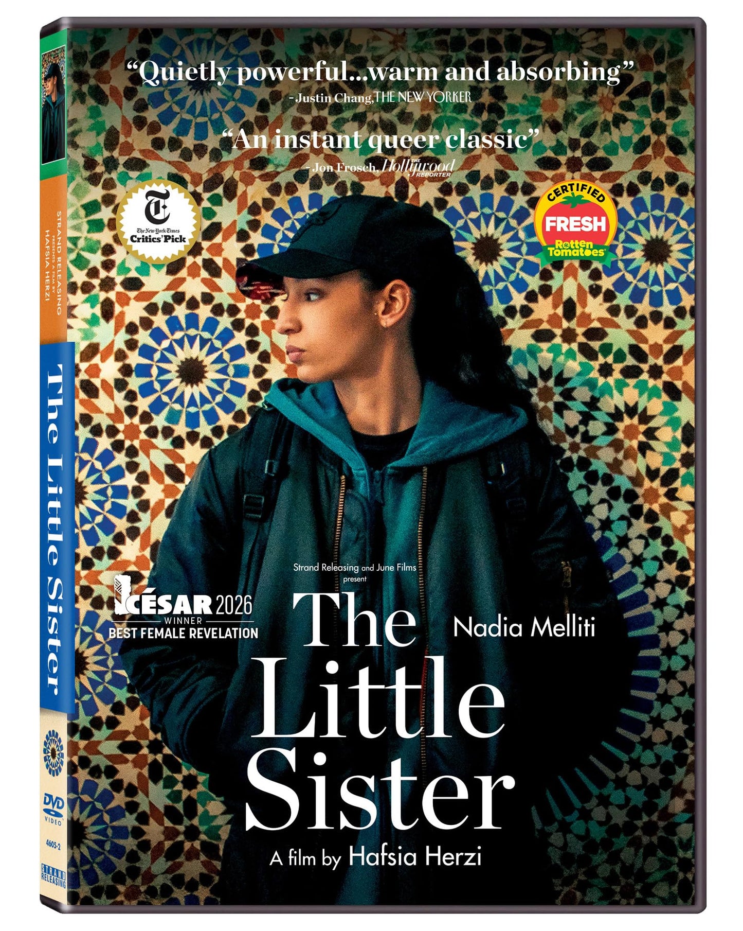 LITTLE SISTER, THE (2025)