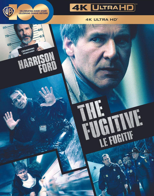 FUGITIVE, THE (1993)