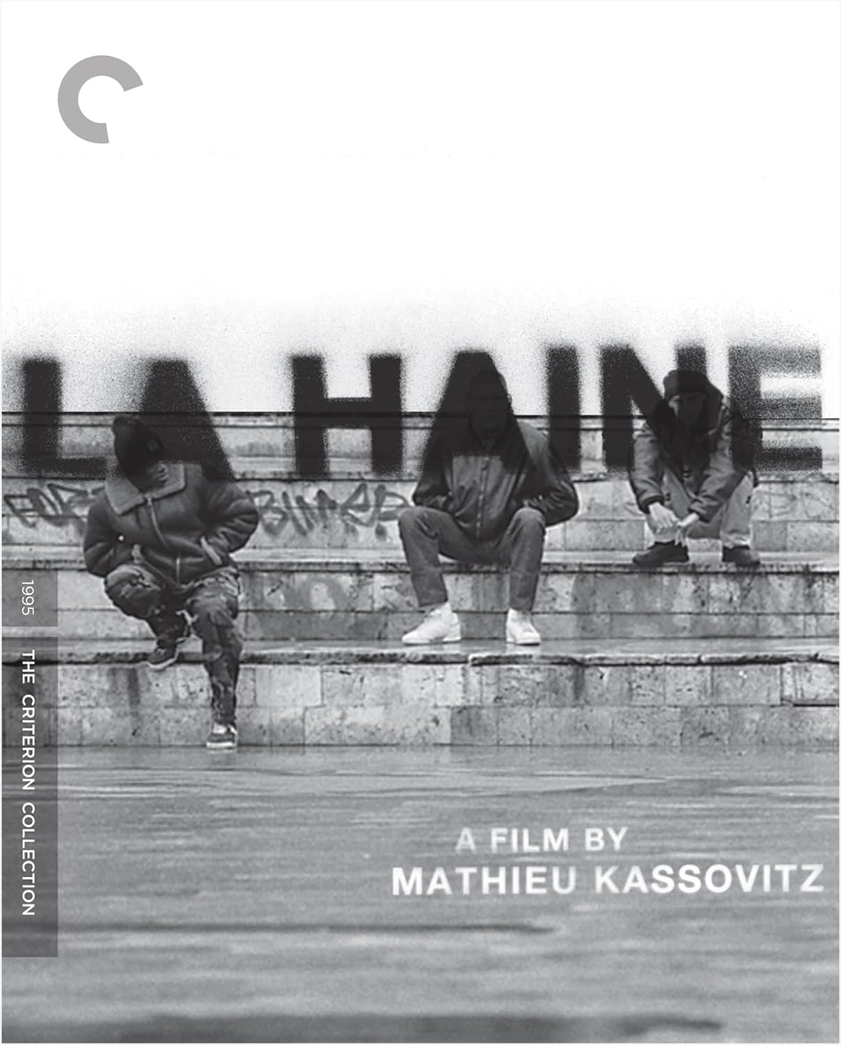 HAINE, LA (1995)