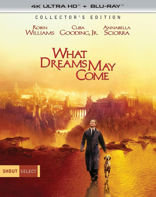 WHAT DREAMS MAY COME