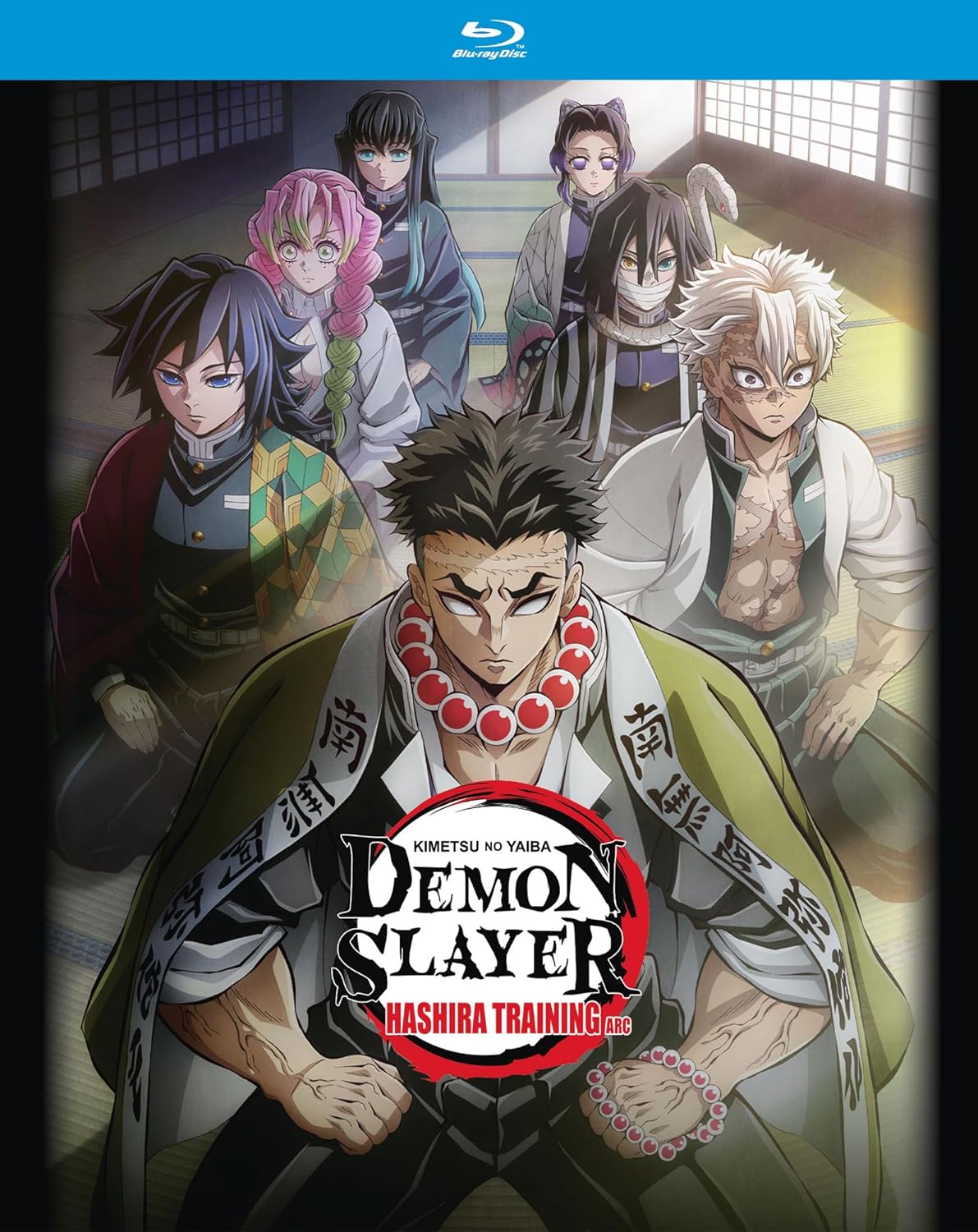 DEMON SLAYER: KIMETSU NO YAIBA - HASHIRA TRAINING ARC (2024)