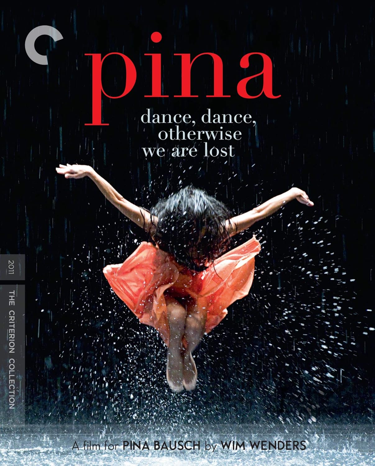 PINA (2011)