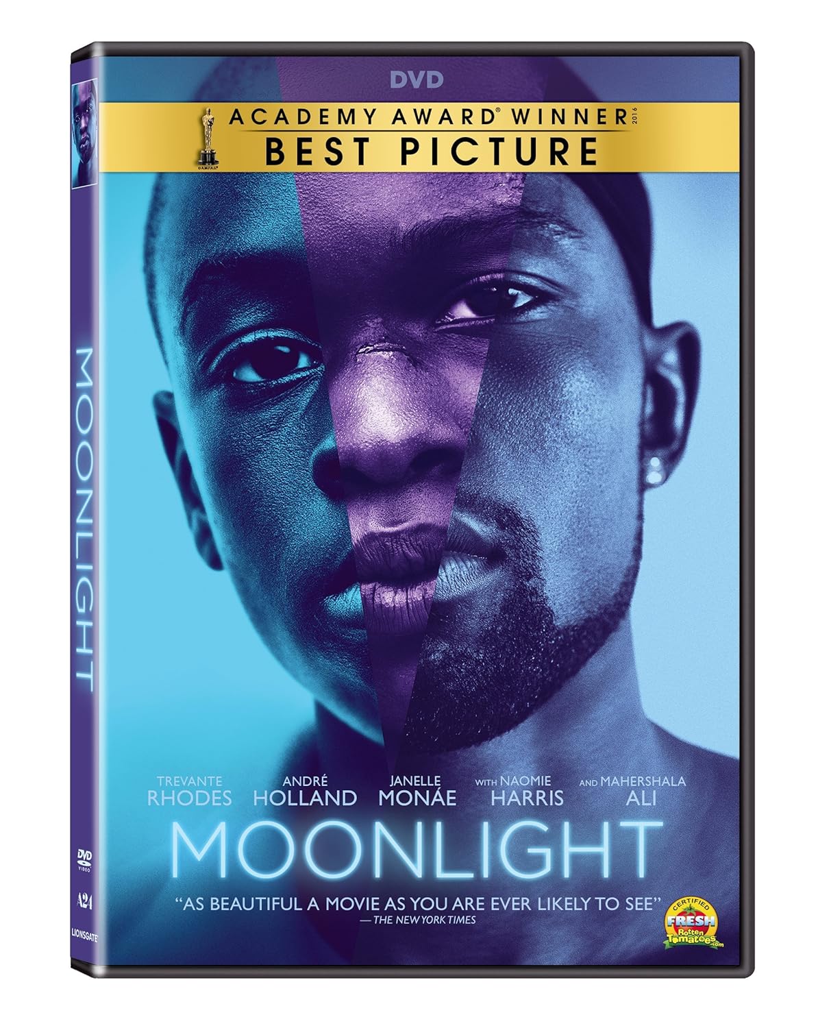 MOONLIGHT (2016)