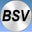 BAY STREET VIDEO ONLINE STORE logo