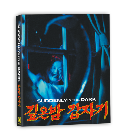 SUDDENLY IN THE DARK (1981)
