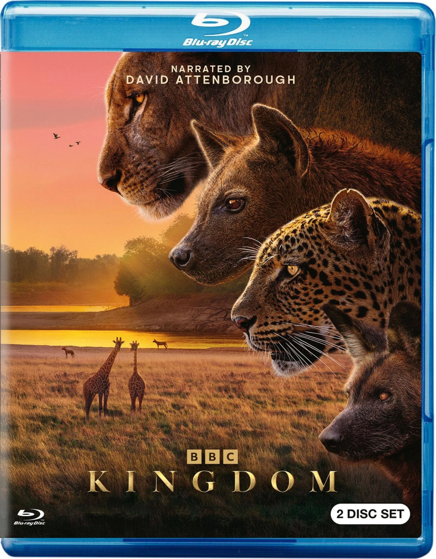 KINGDOM (2025 BBC EARTH)