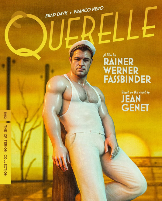 QUERELLE (1982)