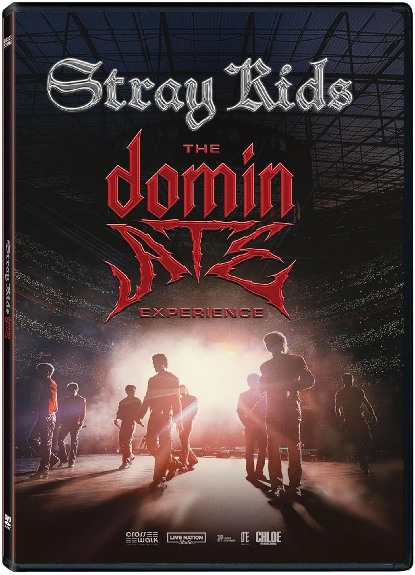 STRAY KIDS: DOMINATE EXPERIENCE