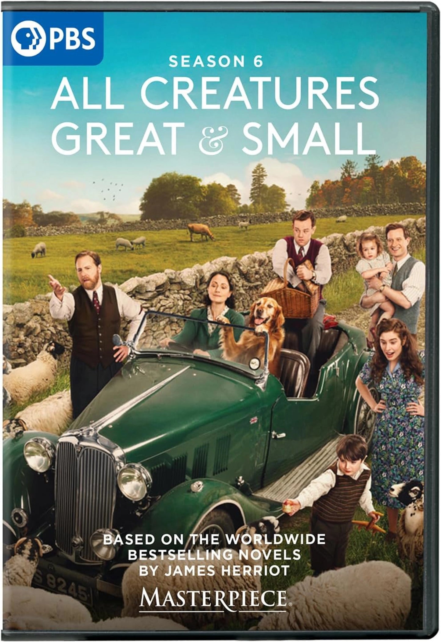 ALL CREATURES GREAT AND SMALL (2020) : SEASON 6