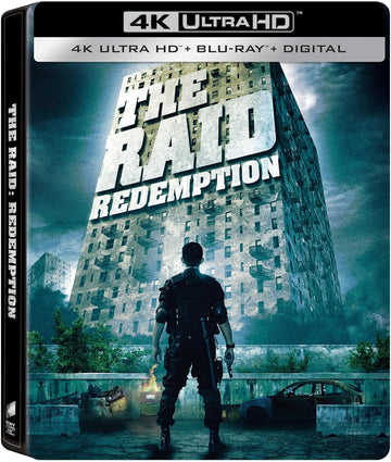 RAID, THE: REDEMPTION (2011)